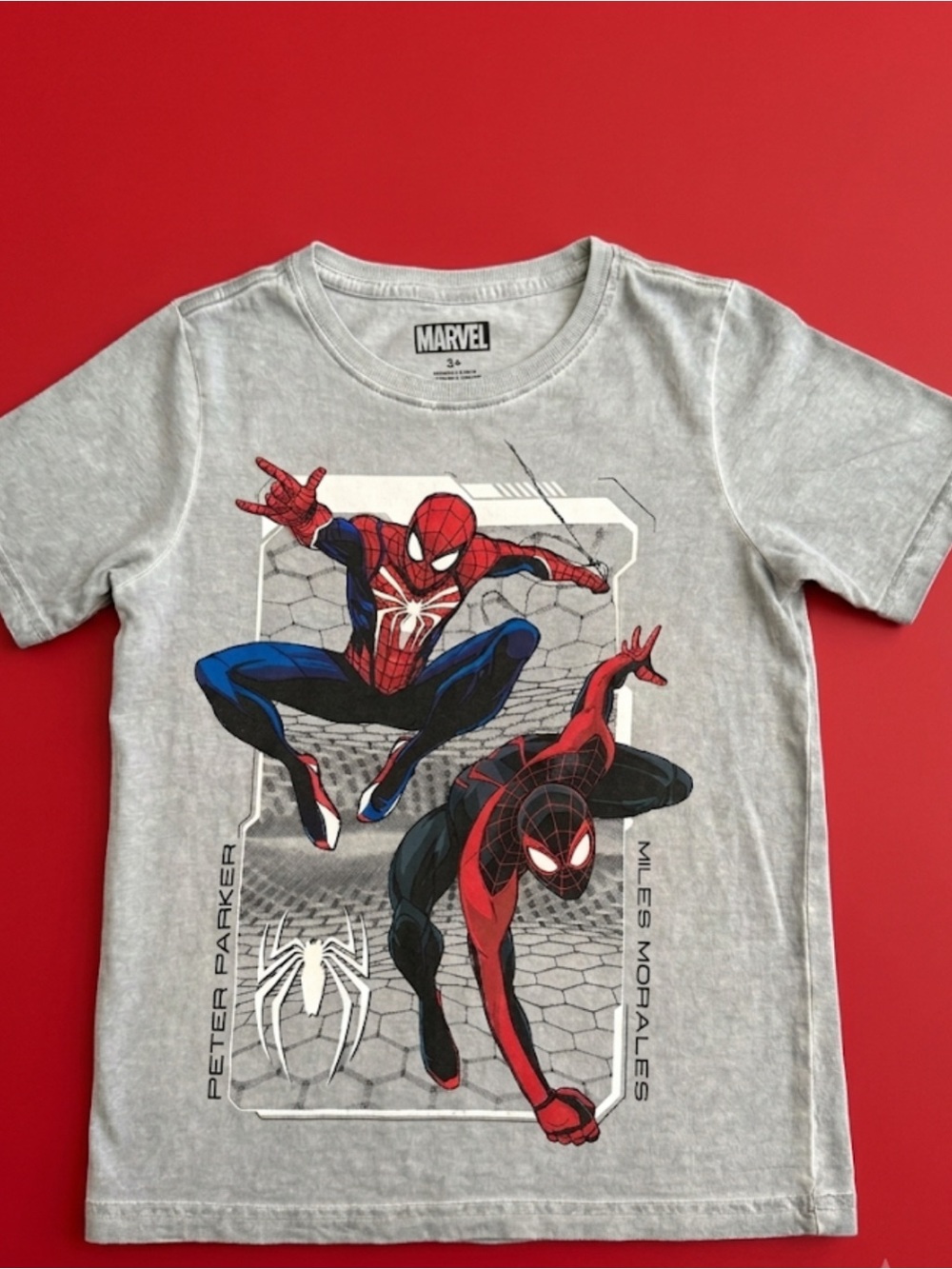 Marvel Spider-Man & Miles Morales Tee - Gray with Red & Blue